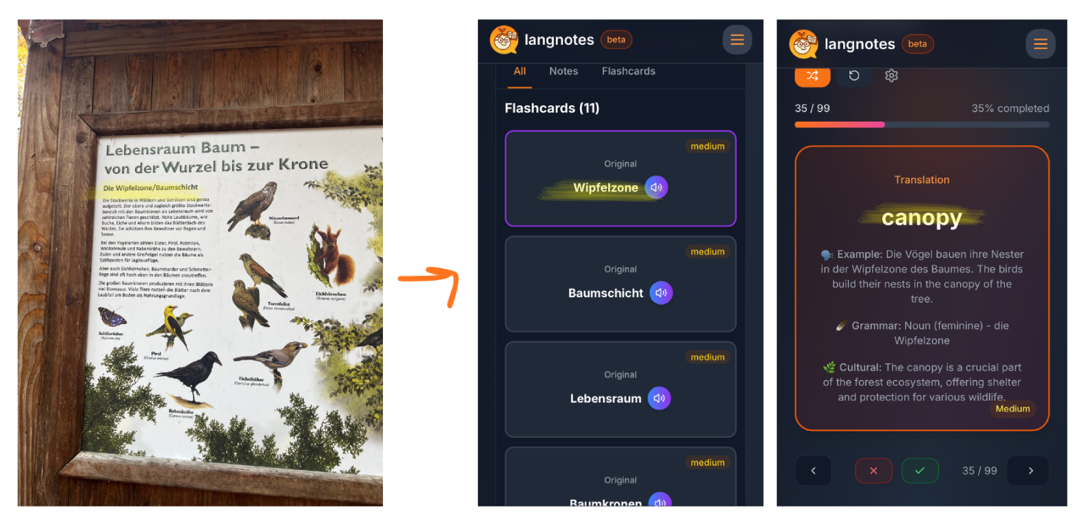 german hike language learning