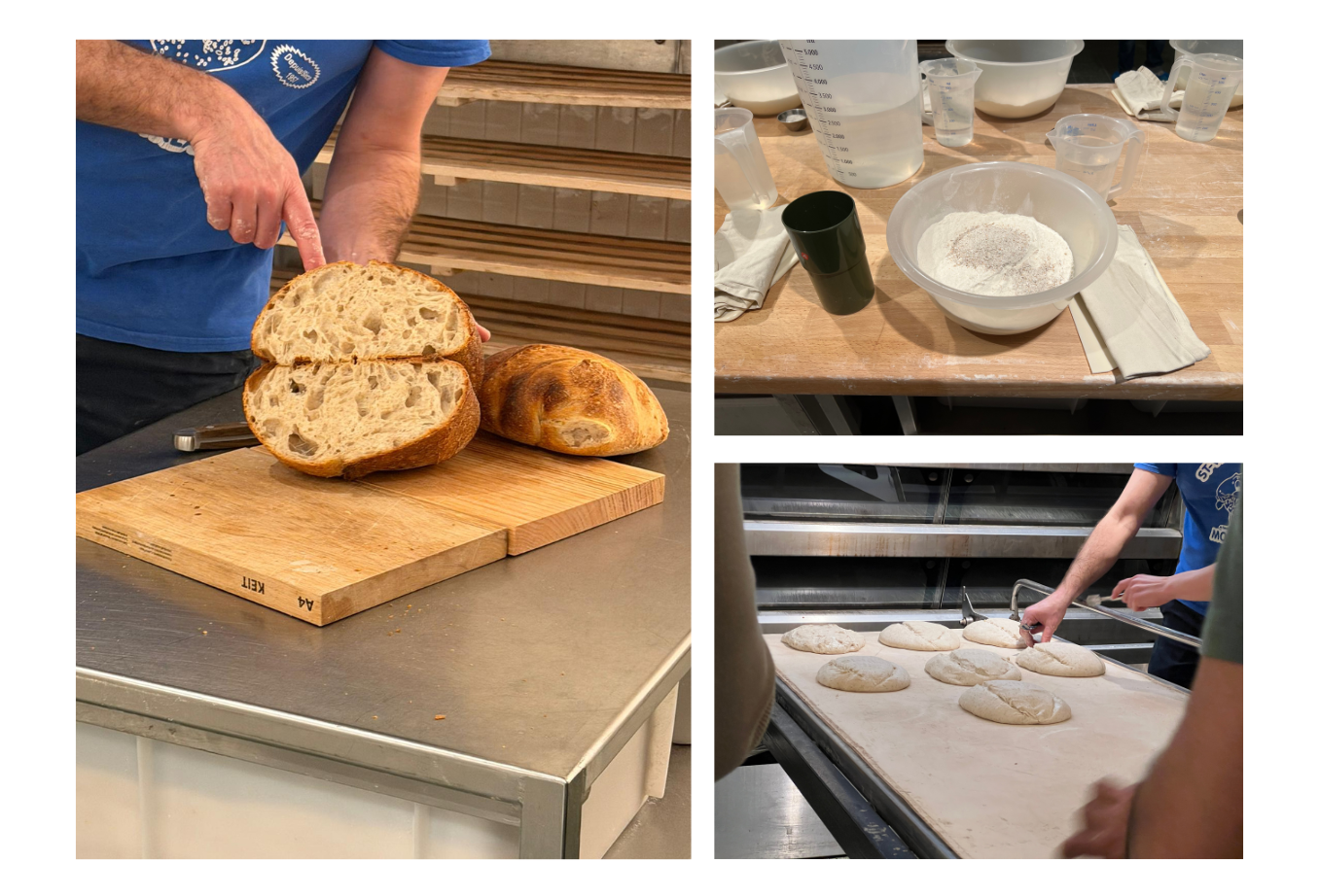 sourdough-bread-workshop